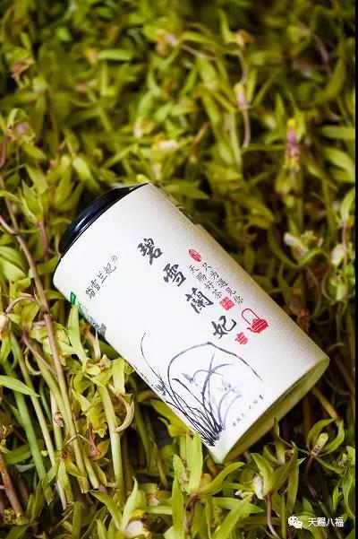 品一杯踏雪兰妃,开启一个春天 惠香茗茶